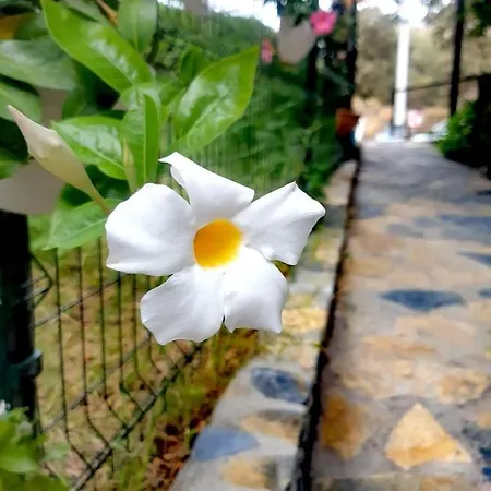 酒店 Benjamin 古穆斯卢克