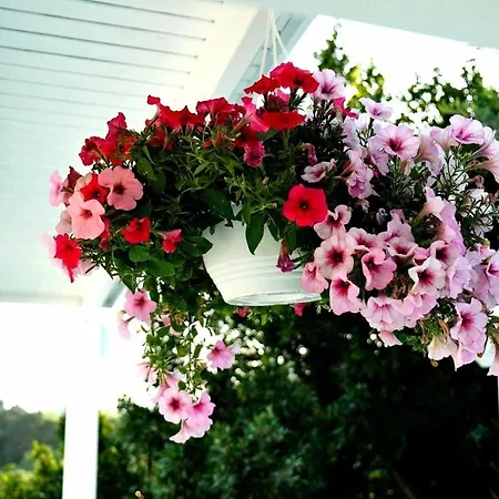 Benjamin 3* Gumusluk