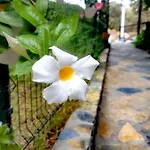 فندق Benjamin غوموشْلوك